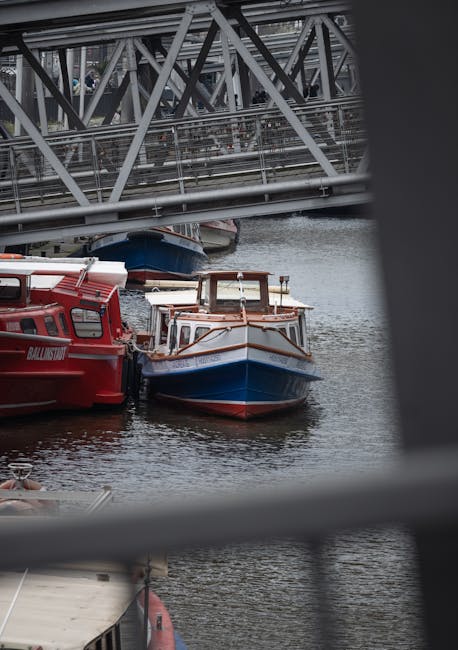 Concorso PNRR3: il canale Telegram per aggiornamenti, consigli e informazioni gratuite