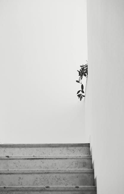 Il Friuli Venezia Giulia esplora il modello di Bolzano per potenziare il tedesco nelle scuole