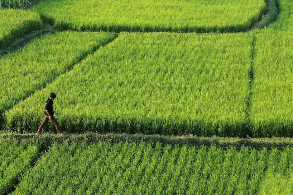 Aperte le iscrizioni a “Impronta Futura”: il percorso didattico per la sostenibilità nelle scuole
