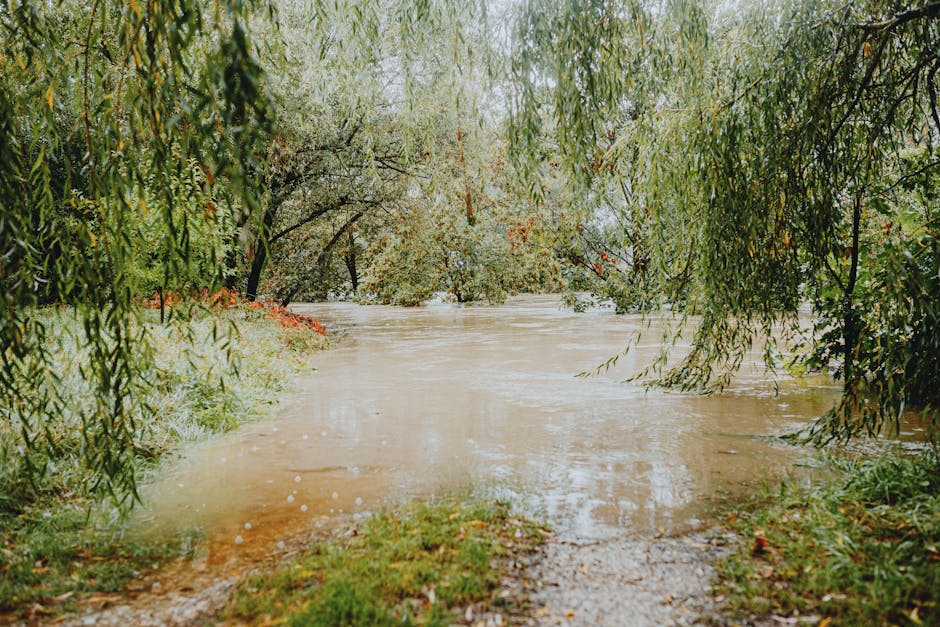 Alluvione e libri di testo: immagine di un paesaggio allagato che simboleggia le difficoltà nella scelta dei materiali scolastici.