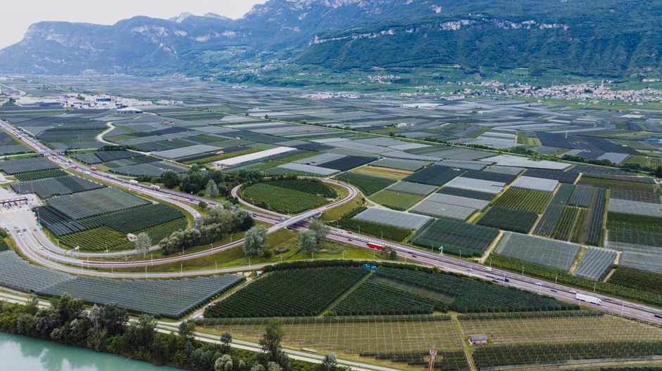 Valorizzazione del merito in Trentino: oltre 3 milioni di euro per premiare l'innovazione e la formazione dei docenti