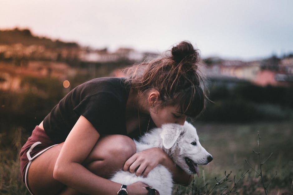 Giovane donna abbraccia affettuosamente un cane bianco in un campo, simbolo di lealtà e impegno civico per l'Italia