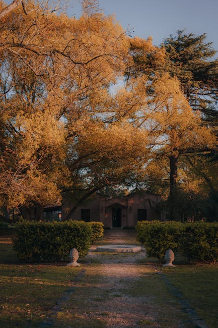 Villa storica immersa nel verde, parco curato con alberi secolari e atmosfera autunnale per Domenicalmuseo.