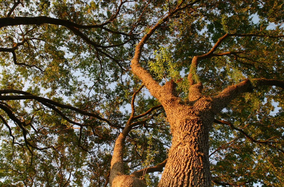 Supplenze docenti: aggiornamenti GPS in inverno e domanda delle preferenze in estate