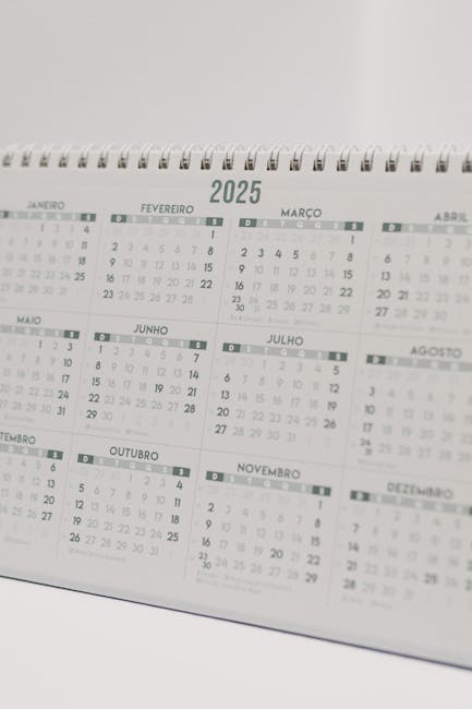 Pianificazione delle Pensioni di Novembre 2025: Aggiornamenti su Pagamenti, Trattenute e Rivalutazioni