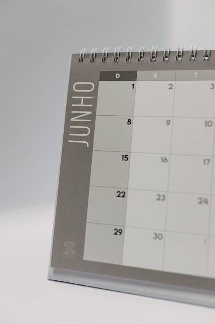 GPS 2026: Cosa devono inserire i docenti con incarico dall’1 settembre al 30 giugno?