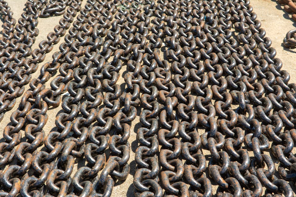 Filiere 4+2 in Lombardia: Avvio dei Percorsi di Supporto alle Scuole