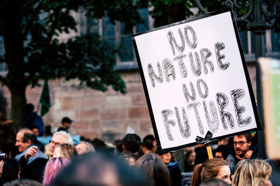 Manifestazione per il clima con cartello No Nature No Future, simbolo della sensibilizzazione al cambiamento climatico e futuro sostenibile.