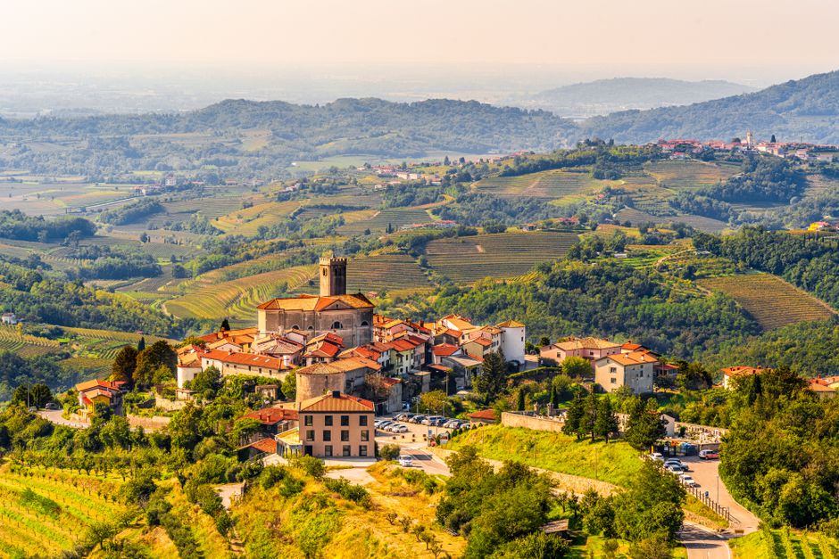 Interpello DSGA in provincia di Gorizia: come partecipare per i posti vacanti dell'anno scolastico 2026/2027