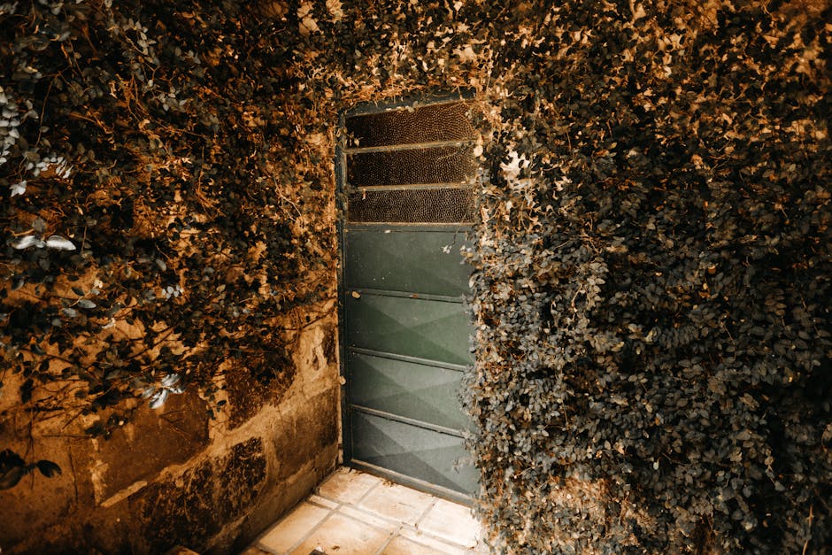 Geometria Nascosta: Angoli e Linee di una Porta Segreta Porta geometrica nascosta dalla vegetazione, angoli adiacenti e linee che si intersecano in un'architettura affascinante e misteriosa.