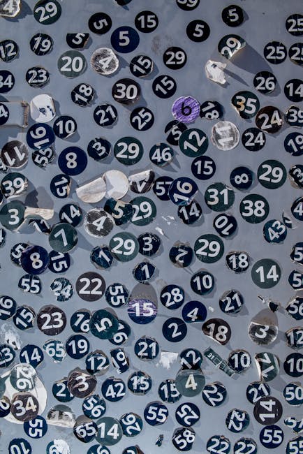 Ecampus apre le iscrizioni alla IX edizione dei 30 CFU ex art. 13 (DPCM del 4 agosto 2023) – tutto quello che serve sapere — approfondimento e guida