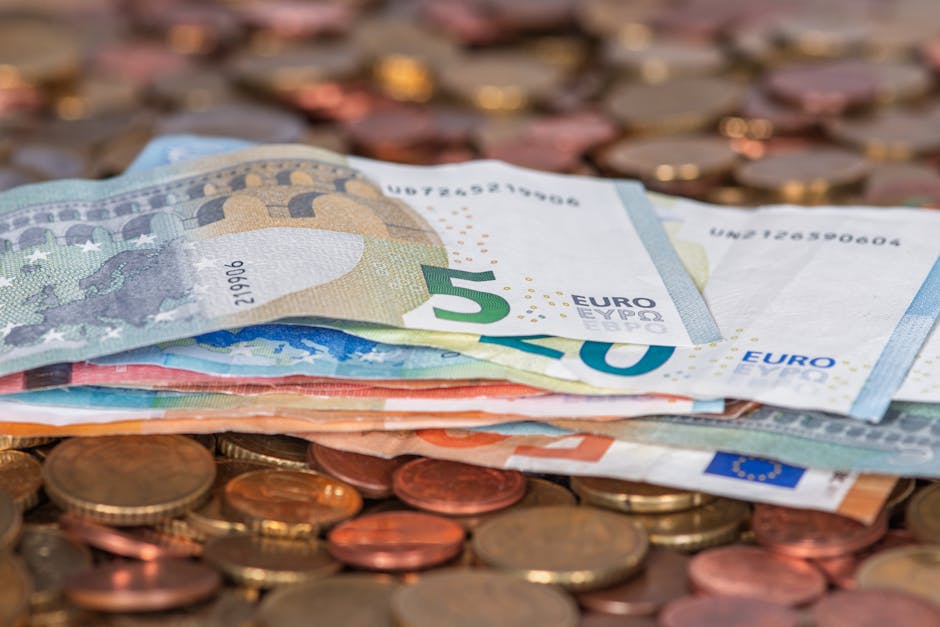 Valutazione investimenti con metodo flussi di cassa scontati: dettaglio banconote euro e monete. Gestione finanziaria e rendimento.