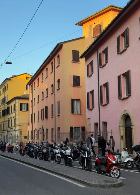Educazione Civica in diretta: il nuovo percorso formativo per le scuole superiori sul tema della guerra e della cittadinanza