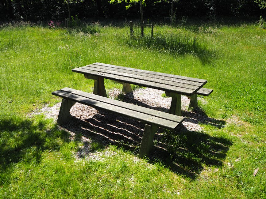 Estate INPSieme 2026: un’opportunità unica di vacanza studio e borse di studio per figli di funzionari pubblici