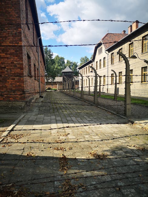 Meloni ricorda la Shoah nel Giorno della Memoria: impegno del governo contro l’antisemitismo e il ruolo educativo delle scuole italiane — approfondimento e guida