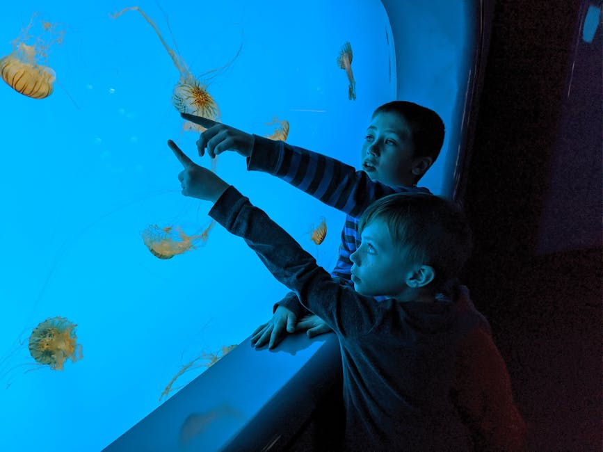 Bambini osservano le meduse all'Acquario di Genova, un'esperienza educativa e coinvolgente per scoprire i segreti del mare e la vita marina.