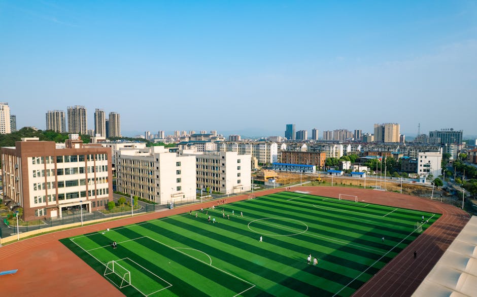 Licei accorpati: gli studenti protestano occupando gli edifici scolastici