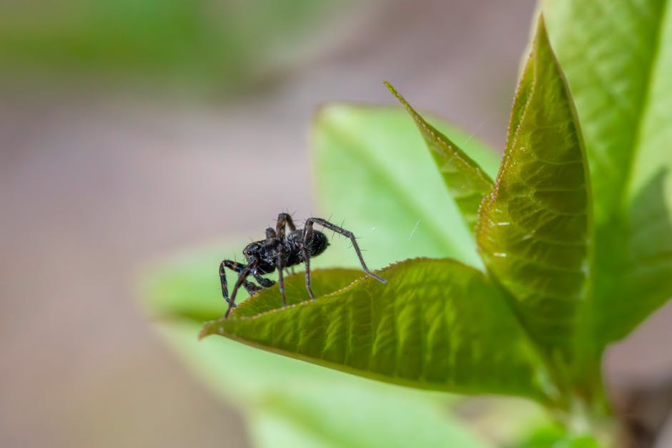 Anche a Salerno conclusa la selezione dalle GPS: approvato il via libera alle graduatorie d’istituto