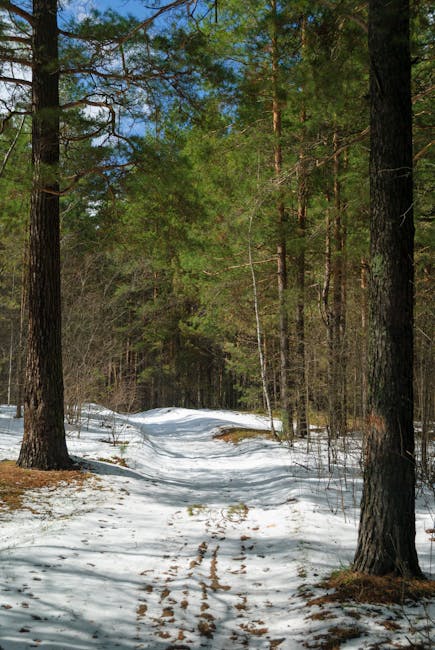Aggiornamenti 2026 per GPS, GaE e mobilità: i prossimi incontri in diretta alle ore 16,00