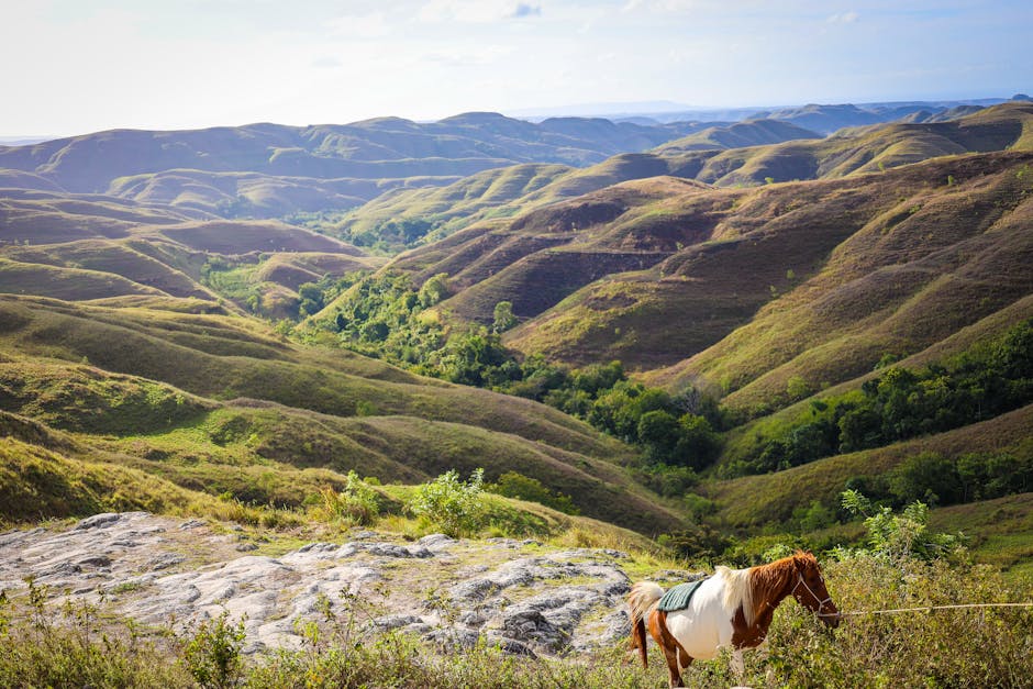 Paesaggio collinare con cavallo al pascolo, esempio di turismo sostenibile e rispetto per l'ambiente naturale incontaminato.