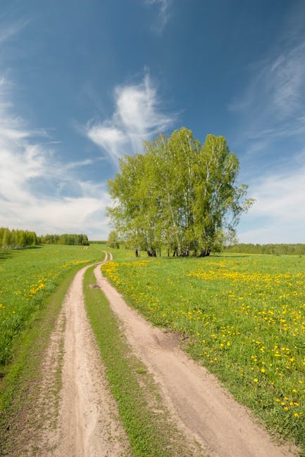 Gli Open Day non sono solo eventi isolati: tra formazione, cultura e testimonianze. Il futuro si costruisce giorno per giorno