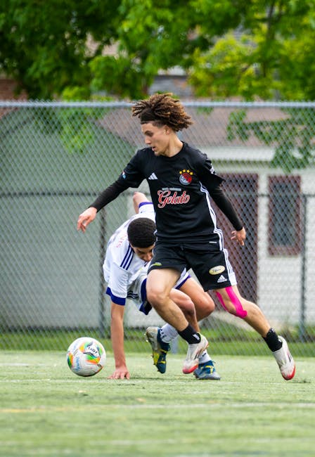 Elenchi regionali per il ruolo: iscrizione e requisiti per superato un concorso dal 2020