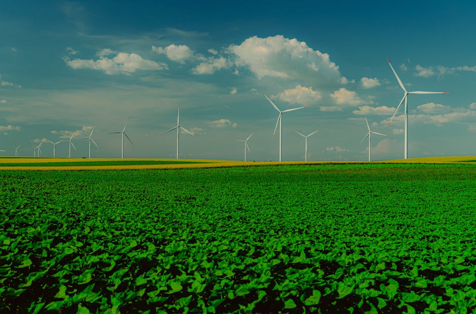 Campo coltivato con turbine eoliche sullo sfondo, esempio di agricoltura sostenibile e produzione di energia rinnovabile per il futuro.