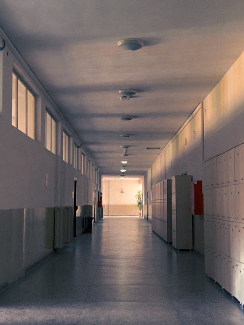 Ritrovato a scuola materiale esplosivo risalente alla Seconda Guerra Mondiale: evacuata la scuola a Genova — approfondimento e guida