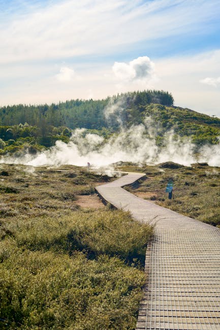 Paesaggio geotermico con passerella in legno, vapore acqueo e vegetazione lussureggiante: un esempio di scienza e natura per l'educazione STEAM