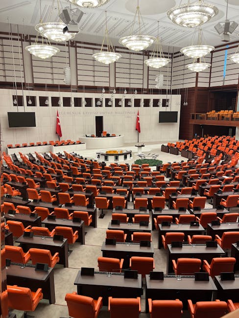 Riforma Sostegno D.Lgs. 62/2024: ANIEF avverte sui potenziali tagli di cattedre per motivi di bilancio