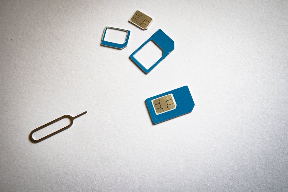 SIM card e strumento di estrazione, possibili acquisti con sconto per docenti nel marketplace di tecnologia ed elettronica