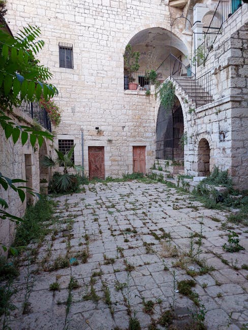 Cortile in pietra con vegetazione spontanea, simbolo di resilienza e speranza in contesti di conflitto e ricostruzione della pace.