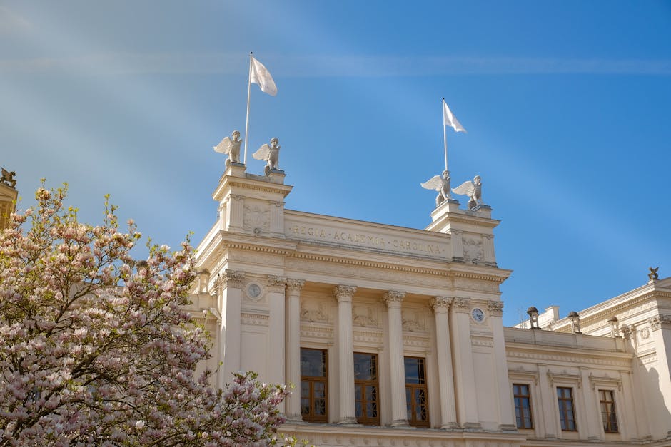 Graduatorie ATA 24 mesi: domanda dal 28 aprile, chi può presentarla e dove — approfondimento e guida