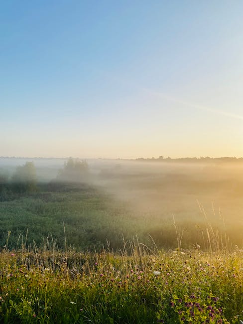 ANP sollecita il rinnovo del contratto per i dirigenti scolastici: arretrati entro il 2026 e mobilità senza limiti già dalla primavera