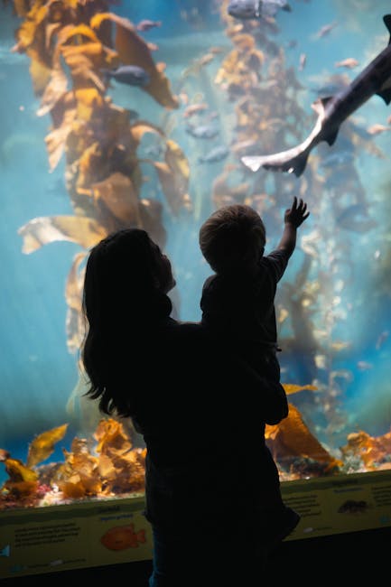 Madre e bambino osservano affascinati i pesci nell'acquario, un'esperienza sensoriale che stimola la curiosità e l'apprendimento musicale nei bambini.
