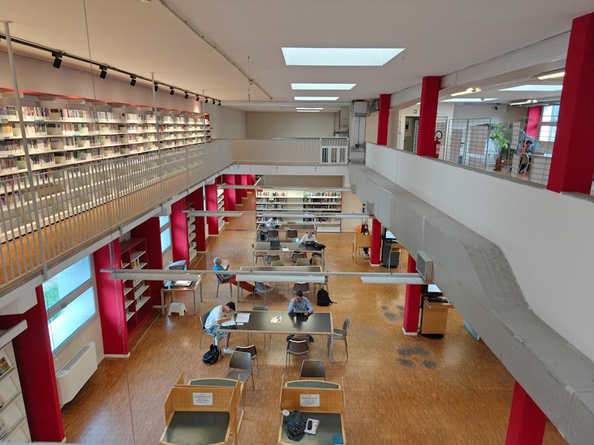 Studenti universitari studiano in biblioteca, preparazione percorsi abilitazione eCampus da 30 CFU ex art. 13.
