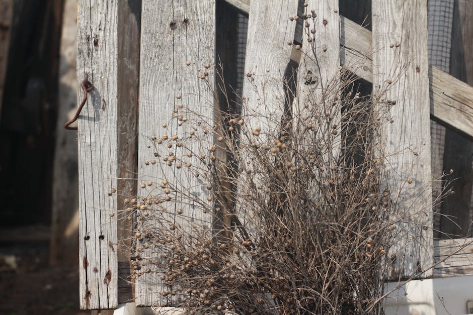 Visita fiscale per docenti e ATA: dettaglio di una recinzione in legno e vegetazione secca, metafora della burocrazia e dei controlli