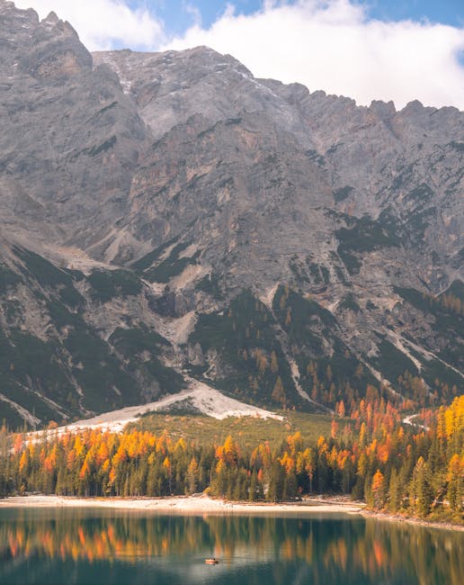 Scopri dove e come partecipare a Didacta Trentino dal 22 ottobre con Tecnica della Scuola