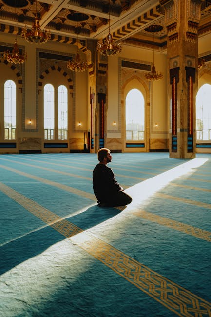 (Aidem) Ricostruzione di carriera, Passweb, SIDI, ASI e Pensioni 2026: istruzioni pratiche dopo la Legge di Bilancio 2026