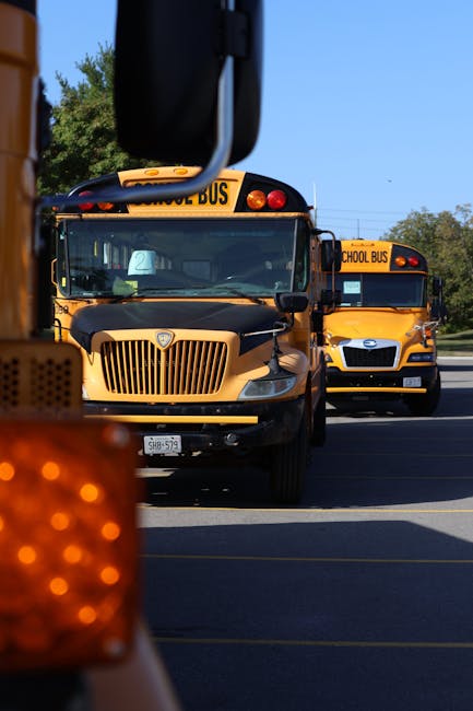 Educazione e sicurezza stradale: il 19 novembre si celebra la giornata in memoria delle vittime della strada