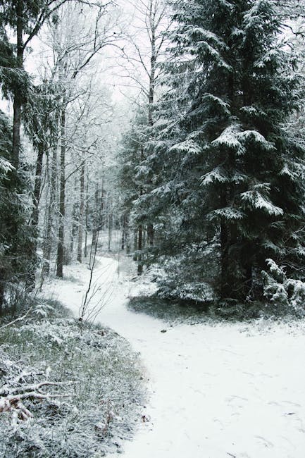 Percorsi di sostegno Indire: prova intermedia prevista per il 13 dicembre 2025. AVVISO con sedi e FAQ