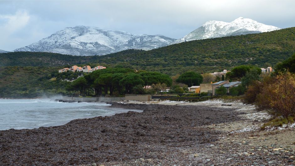 L'evoluzione del linguaggio climatico: la Treccani ufficializza i nuovi termini per l'emergenza caldo