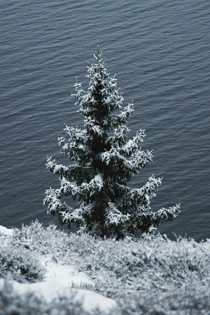 Avviso ANAC alle stazioni appaltanti: sono disponibili gli avvisi pagoPA per le procedure di novembre e dicembre 2025