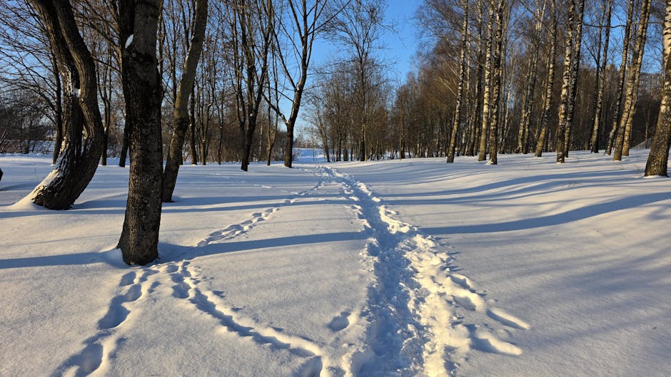 Domanda per le Graduatorie ad Esaurimento (GaE): apertura dall’8 gennaio alle 12:00 alle 22 gennaio