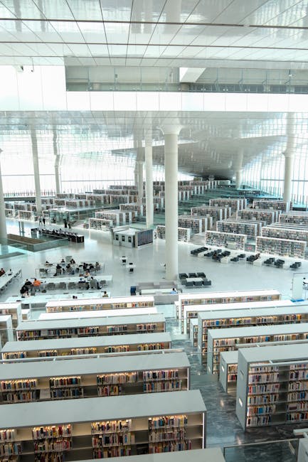 Semestre filtro di Medicina: Bernini smentisce Tor Vergata sulla sede albanese e il diritto allo studio