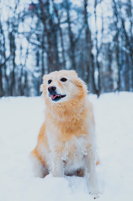 C&C for Education: Innovazione e Laboratori nella Scuola Italiana
