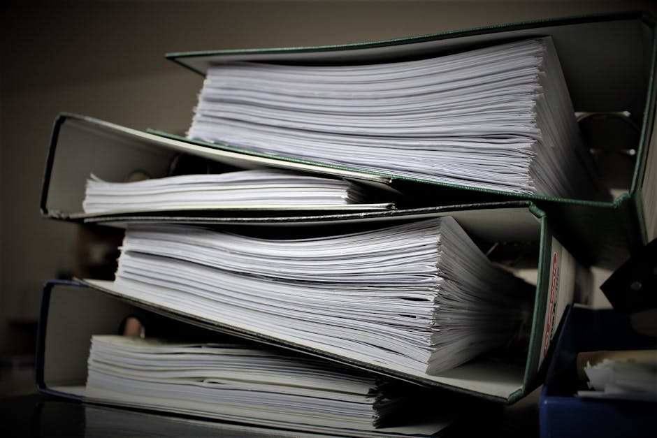 Faldoni pieni di documenti: responsabilità amministrativo-contabile per scuole, Corte dei Conti e riforma per dirigenti scolastici e DSGA