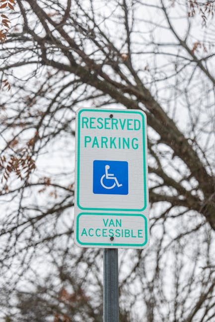 Illegittimità del PEI che non garantisce la copertura totale dell’orario di sostegno per alunno con disabilità grave: Sentenza TAR Campania