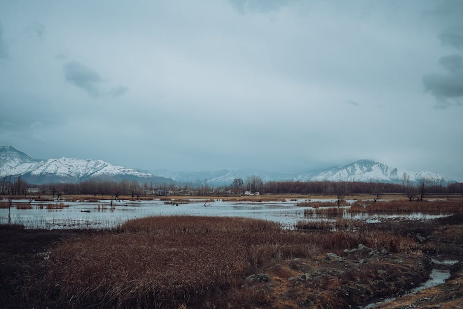 Paesaggio invernale con montagne innevate e palude: riflessioni sull'iscrizione scolastica 2026/2027 e le sue scadenze.