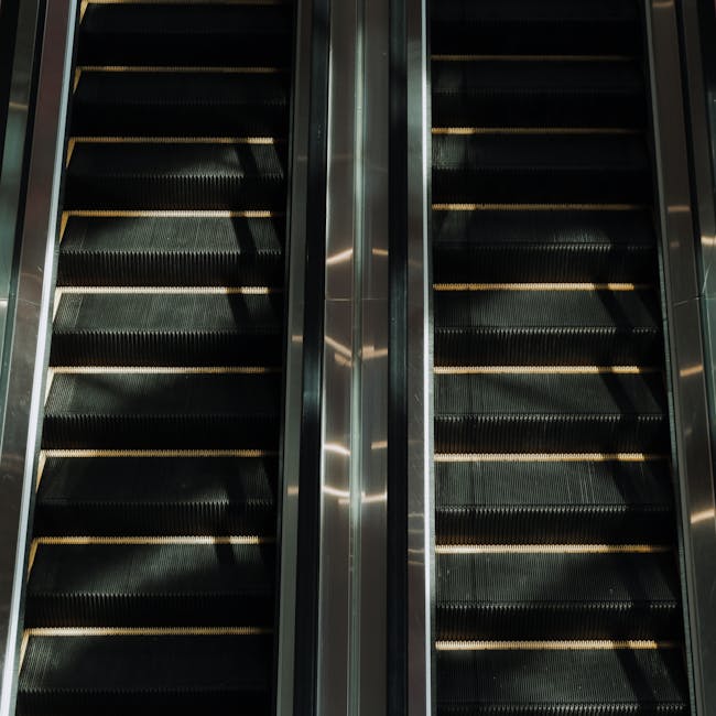 Mobilità docenti: allegati, precedenze e ordine dei passaggi (come evitare revoche)